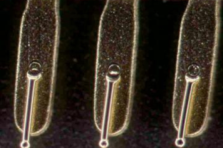 半導體元件，反射光暗場