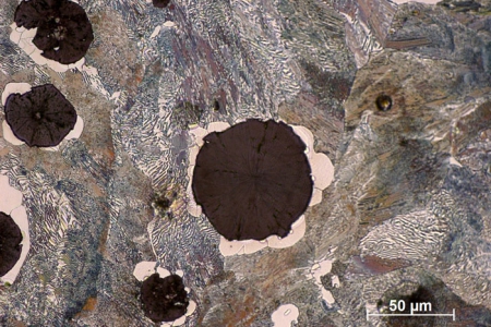 球狀石墨在結核鑄鐵中，反射光，明場