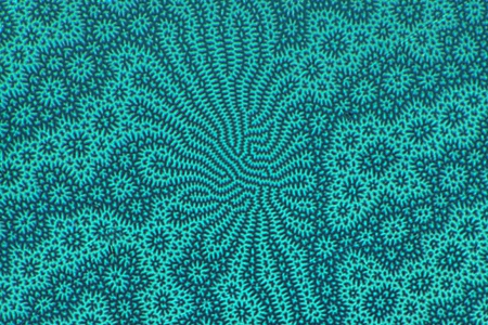 材料科學 – 磁性材料 Nd2Fe14B 磁域的克爾效應。