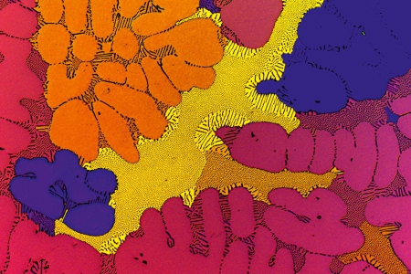 材料科學-金屬 根據Barker偏振對比度，AlNi3,5陽極化，目標：EC EPIPLAN NEOFLUAR 20x/0.50。圖片：由ACCESS e.V.提供。亞琛工業大學亞琛工業大學鑄造研究所，特拉華州