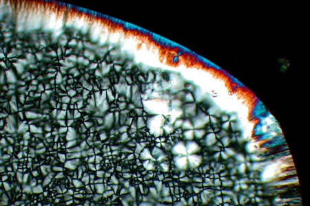 材料科學-液晶 在THMS 600 Linkam加熱階段下，100ºC下[C14mim]Br的液晶相，偏振對比，物向：EC EPIPLAN 10x/0.20。
